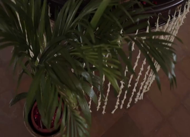 A Slow Motion Shot of an Indian Wedding Venue Decoration in India