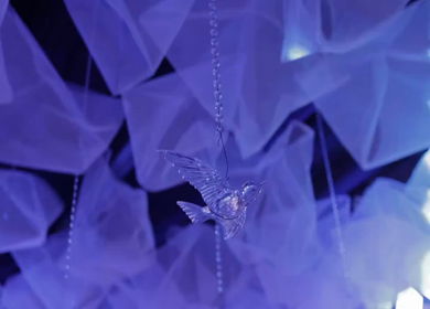 A Slow Motion Shot of an Indian Wedding Venue Decoration in India