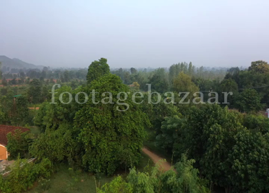 An Aerial Shot of Tendu Leaf Jungle Resort at Raj nagar, Madhya Pradesh, India